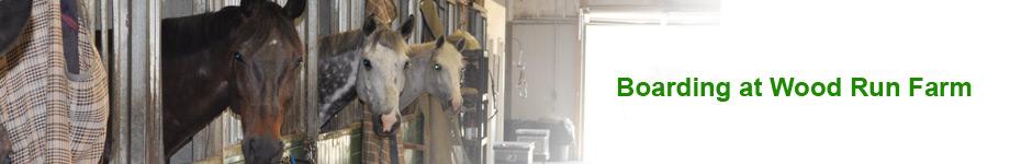 About Wood Run Farm